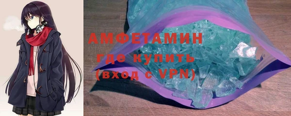 гидра Гатчина