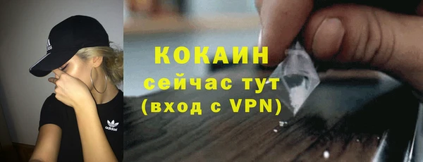 гидра Гатчина