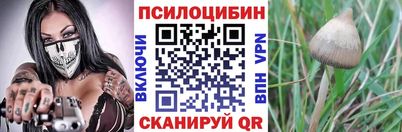 shop официальный сайт  ссылка на мегу ссылки  Ивдель  Галлюциногенные грибы прущие грибы 